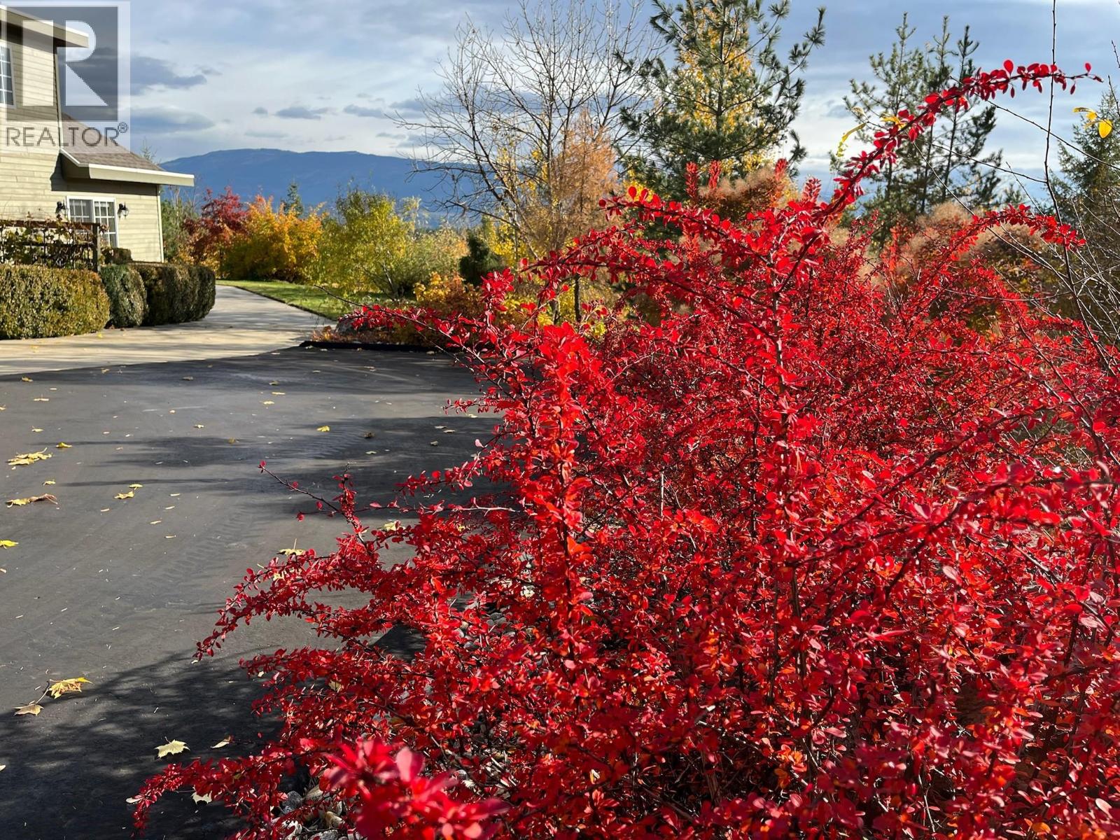 3800 60 Street Nw, Salmon Arm, British Columbia  V1E 3A8 - Photo 63 - 10382116